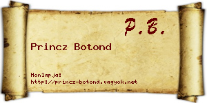Princz Botond névjegykártya